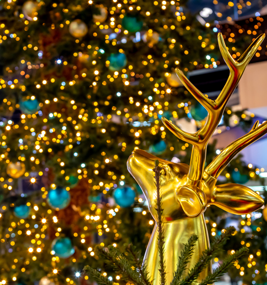 https://www.onenation.fr/wp-content/uploads/2022/06/One-Nation-Paris-animations-Noël-2021_6.jpg