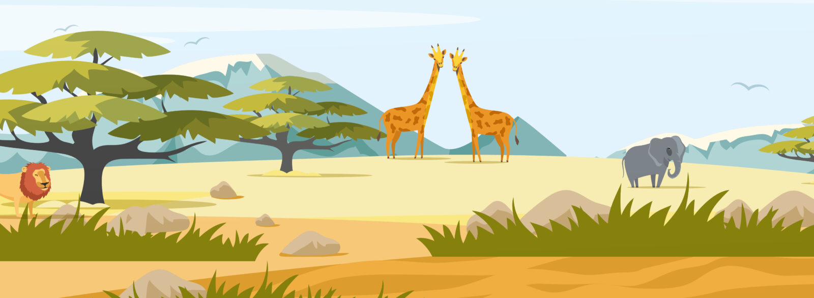 Animations Expédition Safari Outlet